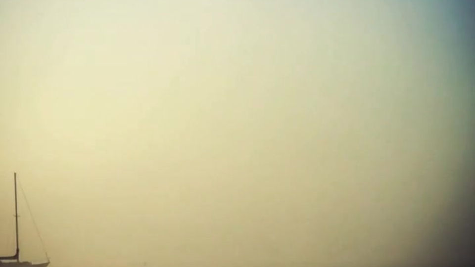 Fog